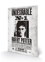 HARRY POTTER - Wood Print 20x29.5 - Undesirable No1