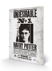 HARRY POTTER - Wood Print 20x29.5 - Undesirable No1