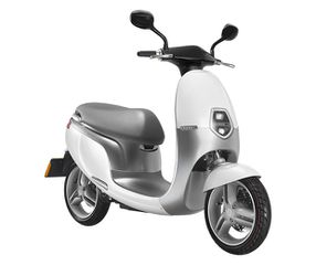 Ecooter E1S 3000wattE-COOTER-E1S