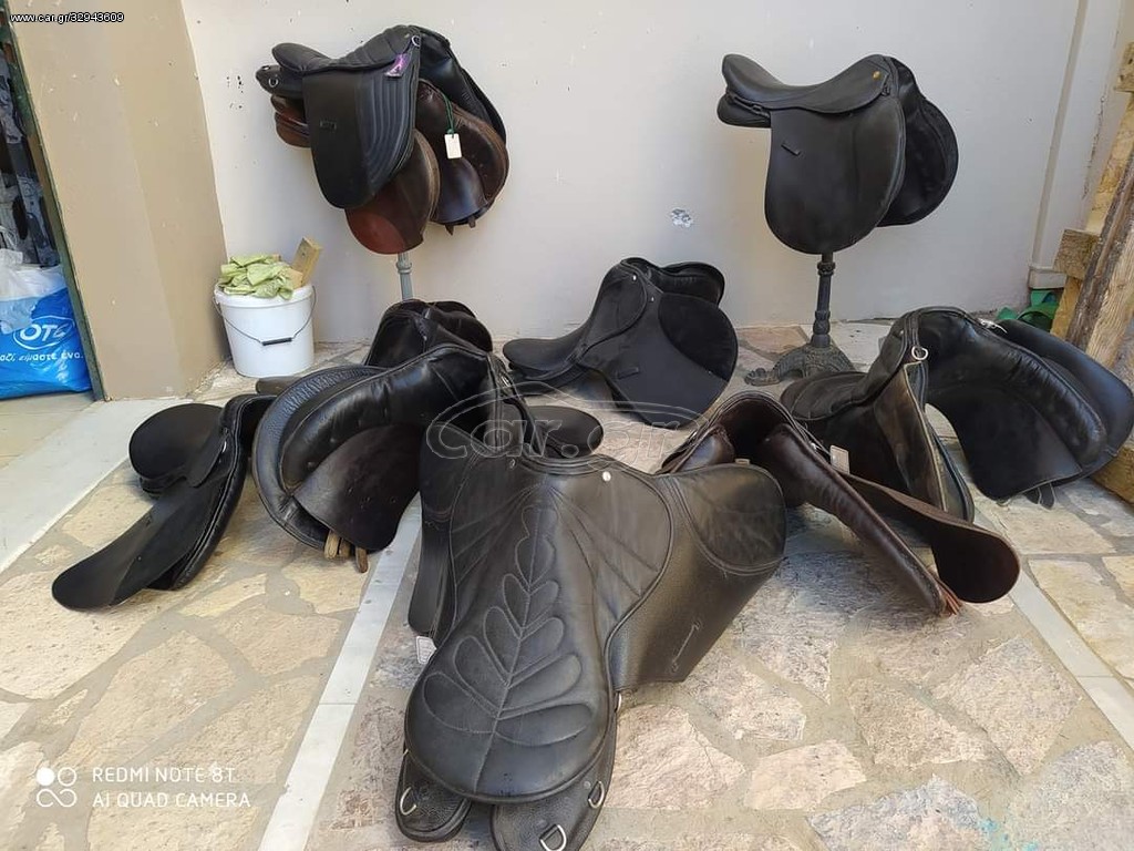 ΣΕΛΕΣ ΚΑΙ ΧΑΜΟΥΡΑ