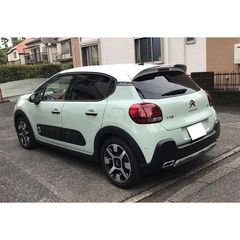 Αεροτομή Οροφής Citroen C3 Mk3 2017+