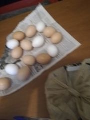 Αυγά χωριάτικα 