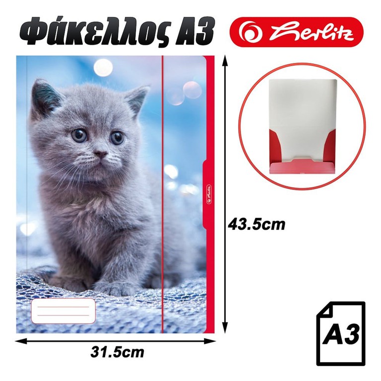 Φάκελος A3 Lonely Kitty
