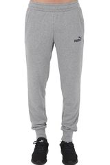 Men's Puma Essential Regular Fit Pant In Grey | 586749-03