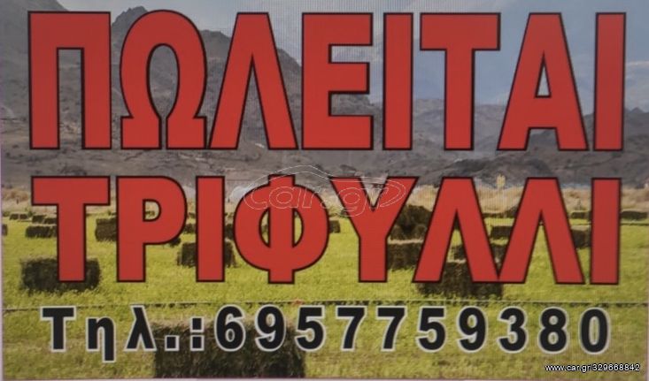 Πωλειται τρυφιλλη μπαλλα μικρη