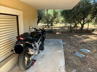 Suzuki TL 1000 1999 tl1000s-thumb-2