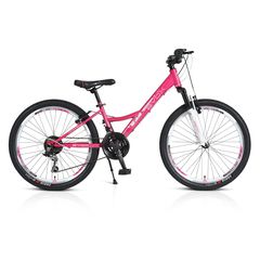 All - Mountain Byox 2023  PRINCESS 24"-thumb-1
