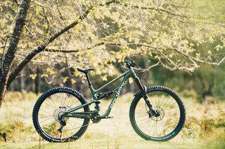 Downhill - Enduro - Trail Polygon 2025 COLLOSUS N9-thumb-18