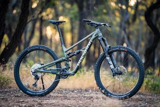 Downhill - Enduro - Trail Polygon 2025 COLLOSUS N9-thumb-16