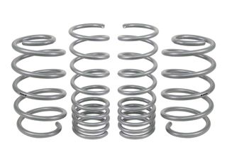 WSK-FRD009 Coil Springs - Lowered