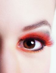 Lashes in 4 colors