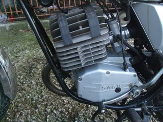 Sachs 1981-thumb-1