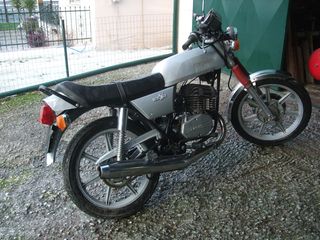 Sachs 1981-thumb-2
