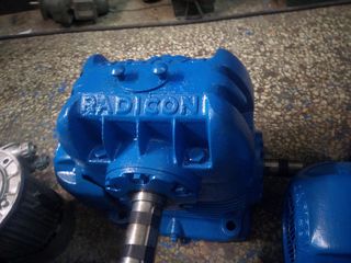Radicon 40 προς 1-thumb-1