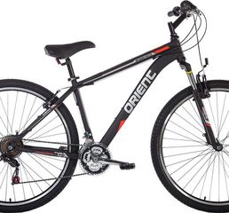 Orient '23 STEED ECO 29''