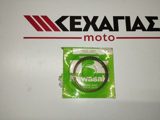 ΕΛΑΤΗΡΙΑ ΠΙΣΤΟΝΙΟΥ MAX 100 13025-1059