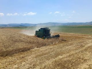 Θεριζοαλωνιστικές John Deere 1995 1177 hydro 4