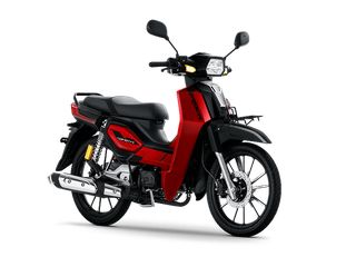 Gpx ROCK 125 2024-thumb-1
