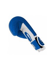 Leather boxing gloves MASTERS RBTTRW 0121002