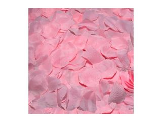 ΡΟΔΟΠΕΤΑΛΑ DIABLO PICANTE - 100 PINK PETALS