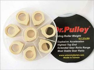 Μπίλιες Φυγοκεντρικού DR.PULLEY SR25X19X17GR (X8) GP800,SRV850,MAXSYM600