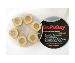 Μπίλιες Φυγοκεντρικού DR.PULLEY SR25X20X15GR XCITING400I 14