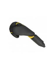Boxing gloves RPUBLACK 0123250210-thumb-5