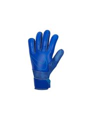Nike Goalkeeper Match Jr CQ7795445 Goalkeeper Gloves