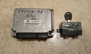 Felicia Εγκέφαλος "