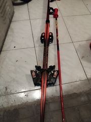 Ski Head 2014