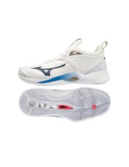 Mizuno Wave Momentum 2 M V1GA211300 volleyball shoes