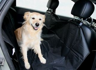Κάλυμμα αυτοκινήτου για σκύλο - universal
