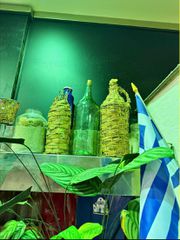 Νταμιτζανες-thumb-1