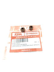 ΤΣΙΜΟΥΧΑΚΙΑ ΒΑΛΒΙΔΩΝ DAYTONASPRINTER50-e2 / SPRINTER125-e3 / SPRINTER125-i / SPRINTER50 / SPRINTER125 / NOVA100-e3 / NOVAR125-e3 / NOVAR125 / NOVAS / NOVA / DY ΓΝΗΣΙΟ