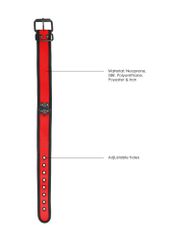 Neoprene Collar With Leash Red-thumb-4