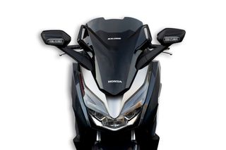 Ανεμοθωρακας (Ζελατίνα) Malossi Για Honda Forza 125-300cc Καινούργια Γνησιά