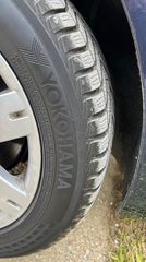 Χειμερινά ζαντολάστιχα -thumb-1