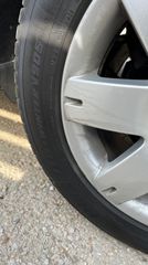 Χειμερινά ζαντολάστιχα -thumb-2