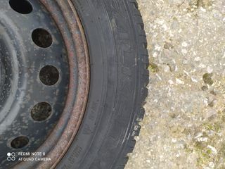 Ζαντολαστιχα-thumb-7