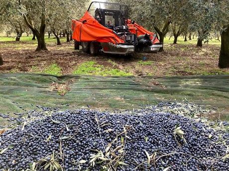 Γεωργικό δονητές συλλογής καρπών '21 Agromelca 