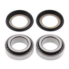 ΡΟΥΛΕΜΑΝ ΤΙΜΟΝΙΟΥ ΠΟΤΗΡΙΑ ΠΙΡΟΥΝΙΟΥ KAWASAKI KLX250 650 -01