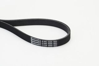 IMANTAS CONTINENTAL 6PK1555  6PK1555 1340275 55563925 11281427250 11281437368 11281437929 11281703561 11281726689 11287516181 11287529738 11287544786 11287631818 11287636378 1437929 1703561 1738990 75