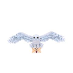 Harry Potter Hedwig Wall Plaque 45cm / Fan Shop and Merchandise