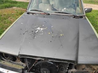 Μερσεντές w123-thumb-3