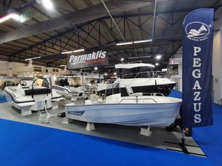 Pegasus 2026 450cc-thumb-7