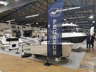 Pegasus 2026 450cc-thumb-8