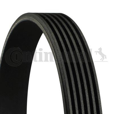 IMANTAS CONTINENTAL 6PK1070  6PK1070 3648144 9819833280 MD165995 MD187463 030145933E 030145933G 030145933L 030145933M 030145933R 030145933T 03L903137 03L903137G 03L903137T 3648144 9819833280 03L903137