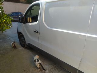 Ψυγείο Opel 2019 Vivaro-thumb-3