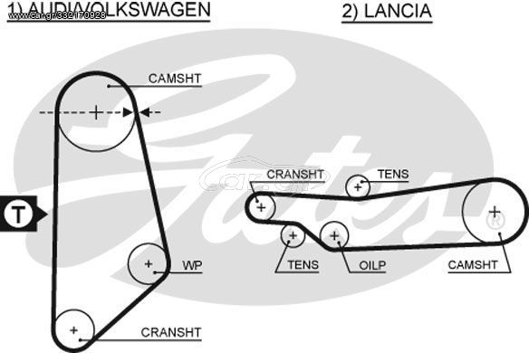 Οδοντωτός ιμάντας AUDI / VW / LANCIA Αρ. δοντιών 113 19mm GATES 5031