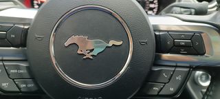 Ford Mustang 2020 PERFORMANCE   ECO BOOST-thumb-33